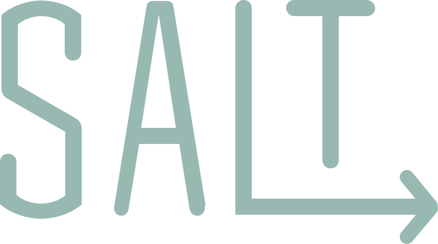big SALT logo