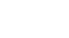 SALT logo